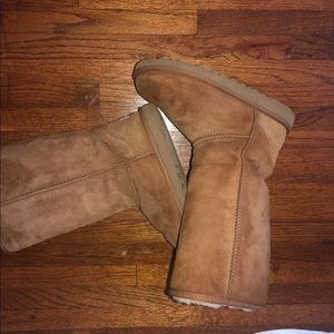 Tall classic UGGS